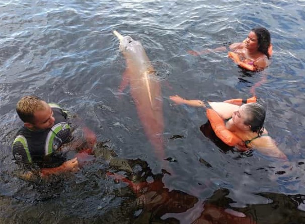 MANAUS + SELVA AMAZÓNICA 2025